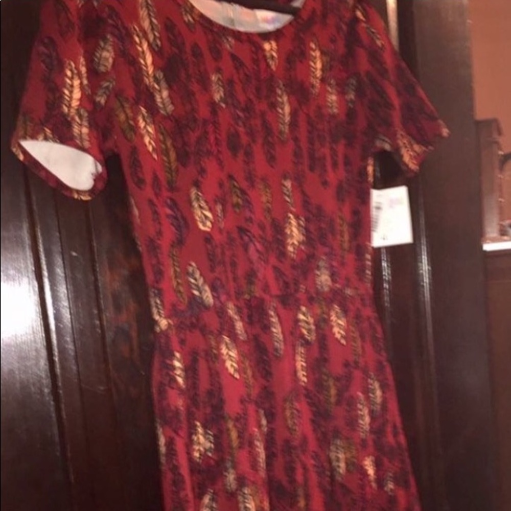 NWT Gorgeous Feather Print LLR Med Amelia Dress